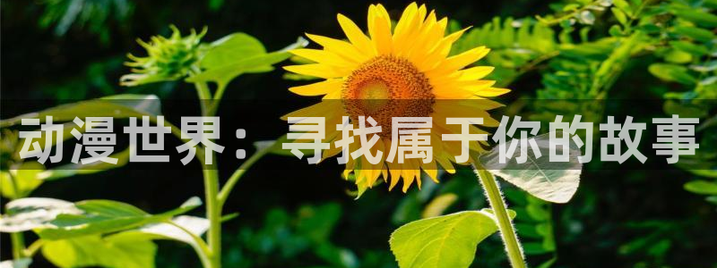 动漫屋官方网站