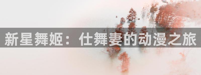 动漫屋特别版下载